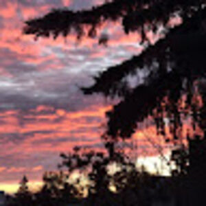 Meet your Posher, Jehan